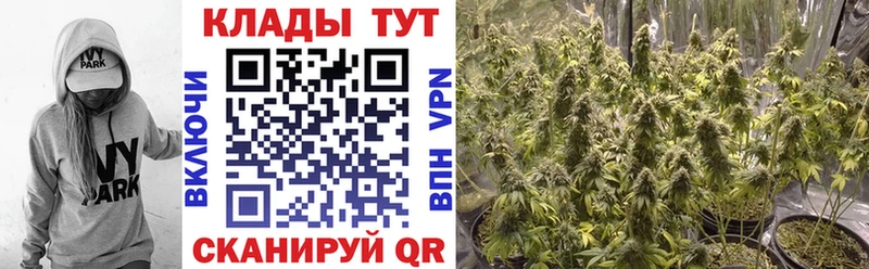 LSD-25 Берёзовка