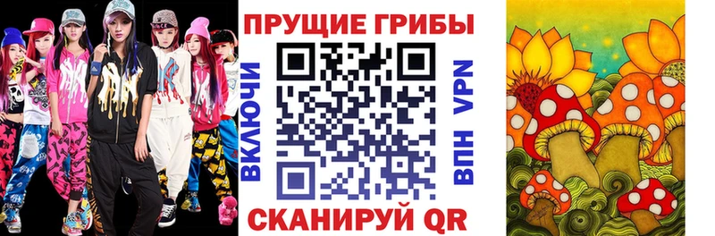 где найти наркотики  Берёзовка  Псилоцибиновые грибы Psilocybine cubensis 